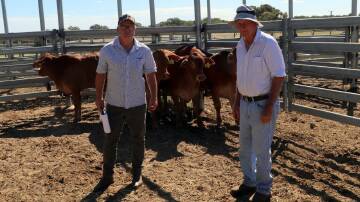 Competition judge Richard Hall, (left), Golden Arm Genetics, with John Henwood, Gingin and his winning pen of Droughtmaster heifers which were awarded with the first place title after achieving 82 out of a possible 100 points.